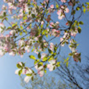 Meet your Posher, Kerri